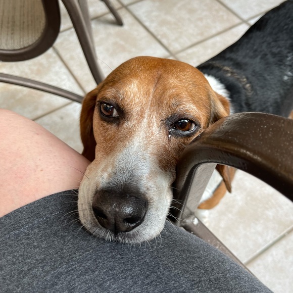 Meet your Posher, Zeesel - Picture 1 of 1